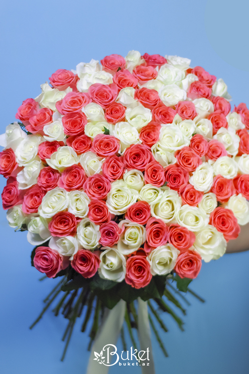 101 роза | Букет красных и белых цветов | Цветные розы