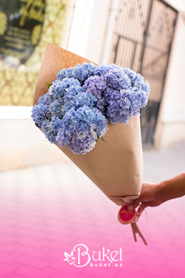 Blue Hydrangea in the Craft Bouquet