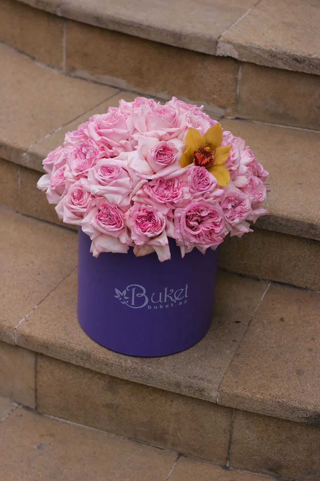 Qutuda sofiya qızılgül